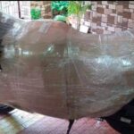 WhatsApp Image 2023-12-15 at 08.23.05_0154f165