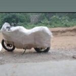 WhatsApp Image 2023-12-15 at 09.42.23_49665b84